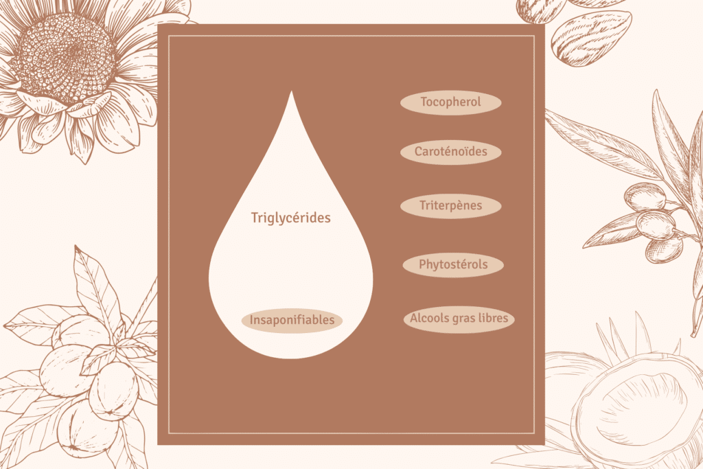 schema explicatif représentant la part des insaponifiables dans une huile végétale